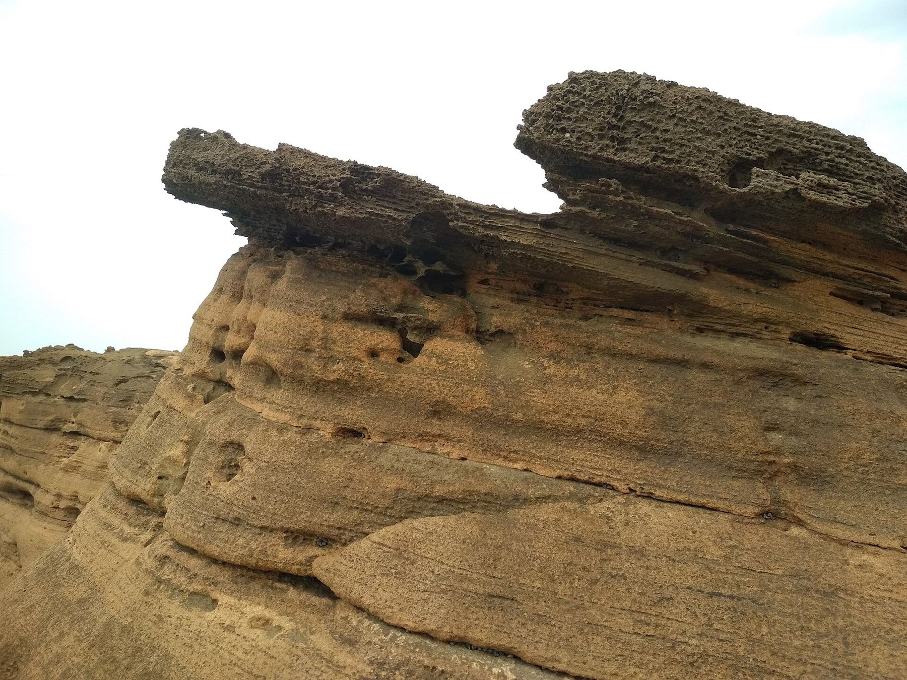 Wave-cut limestone on the shore at Diu